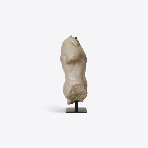 Maximillian small male torso sculpture