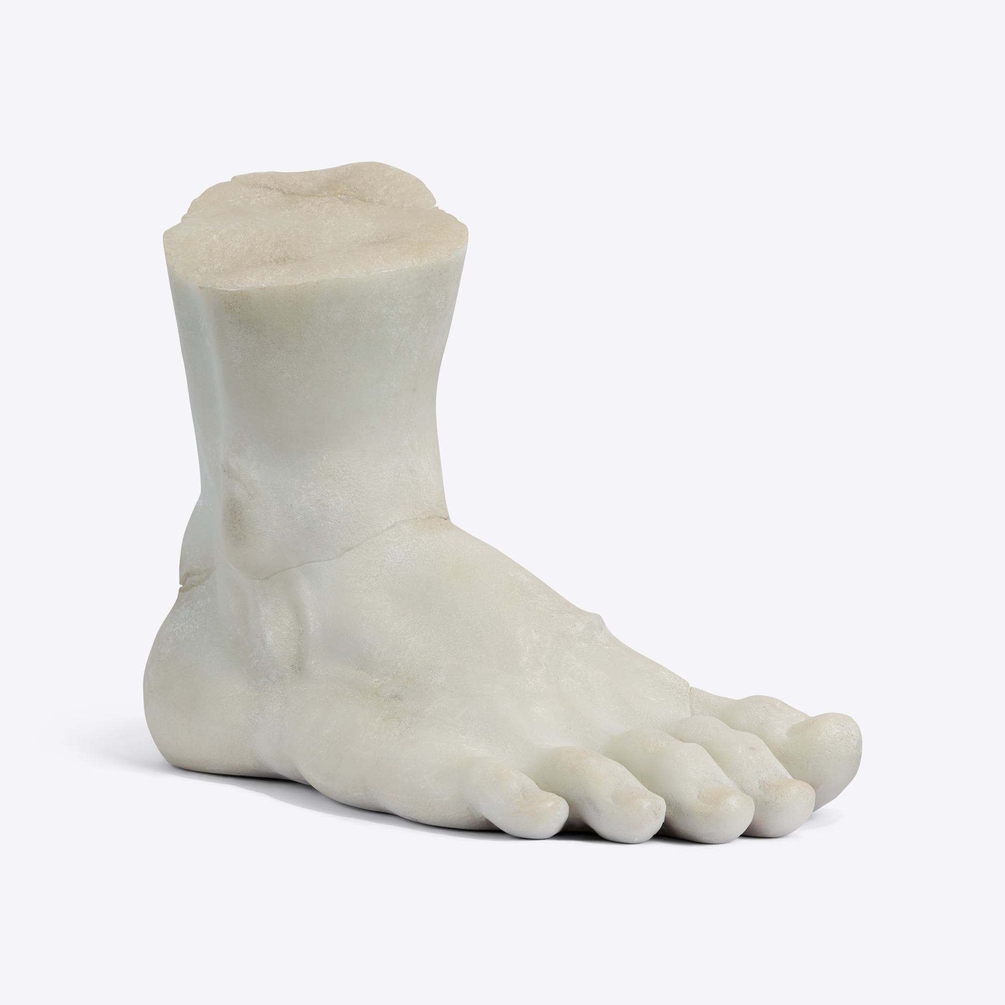 Large Decorative Foot Study