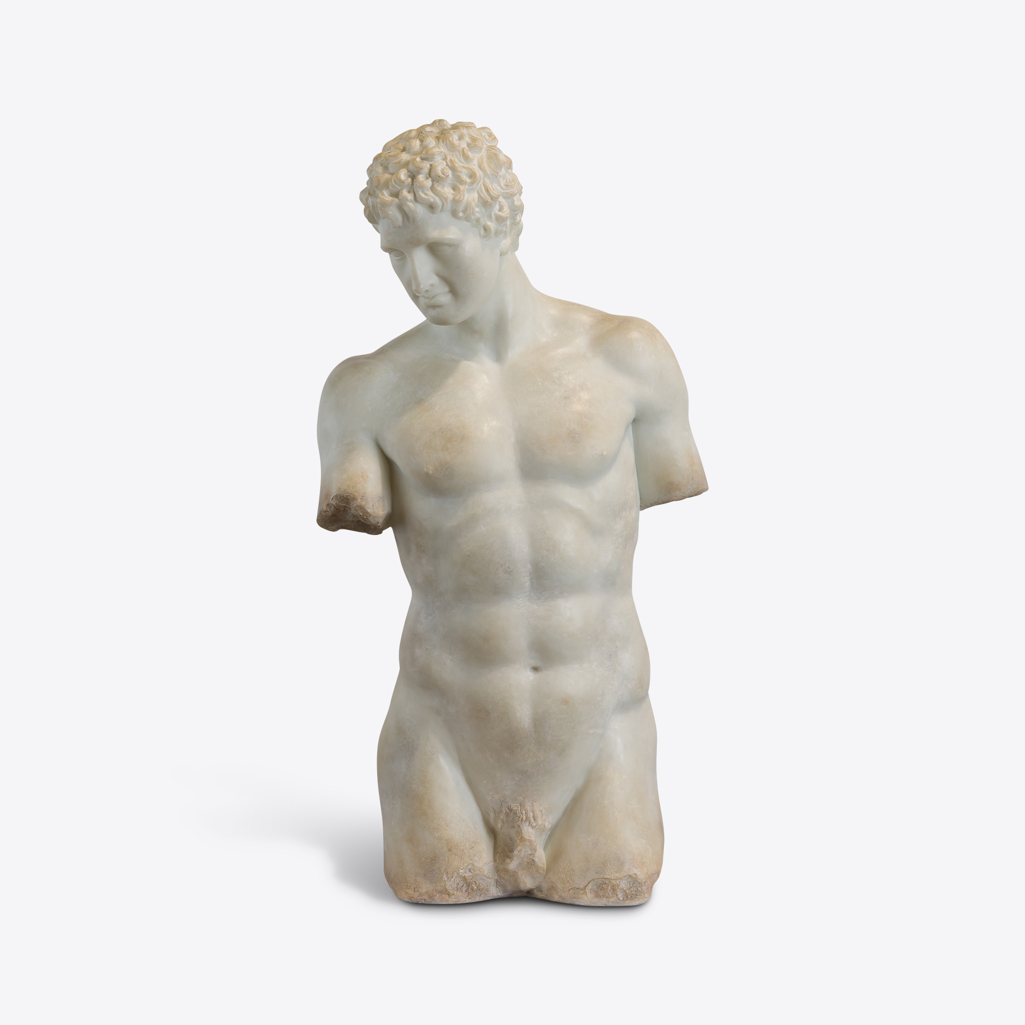 Apollo Half Torso