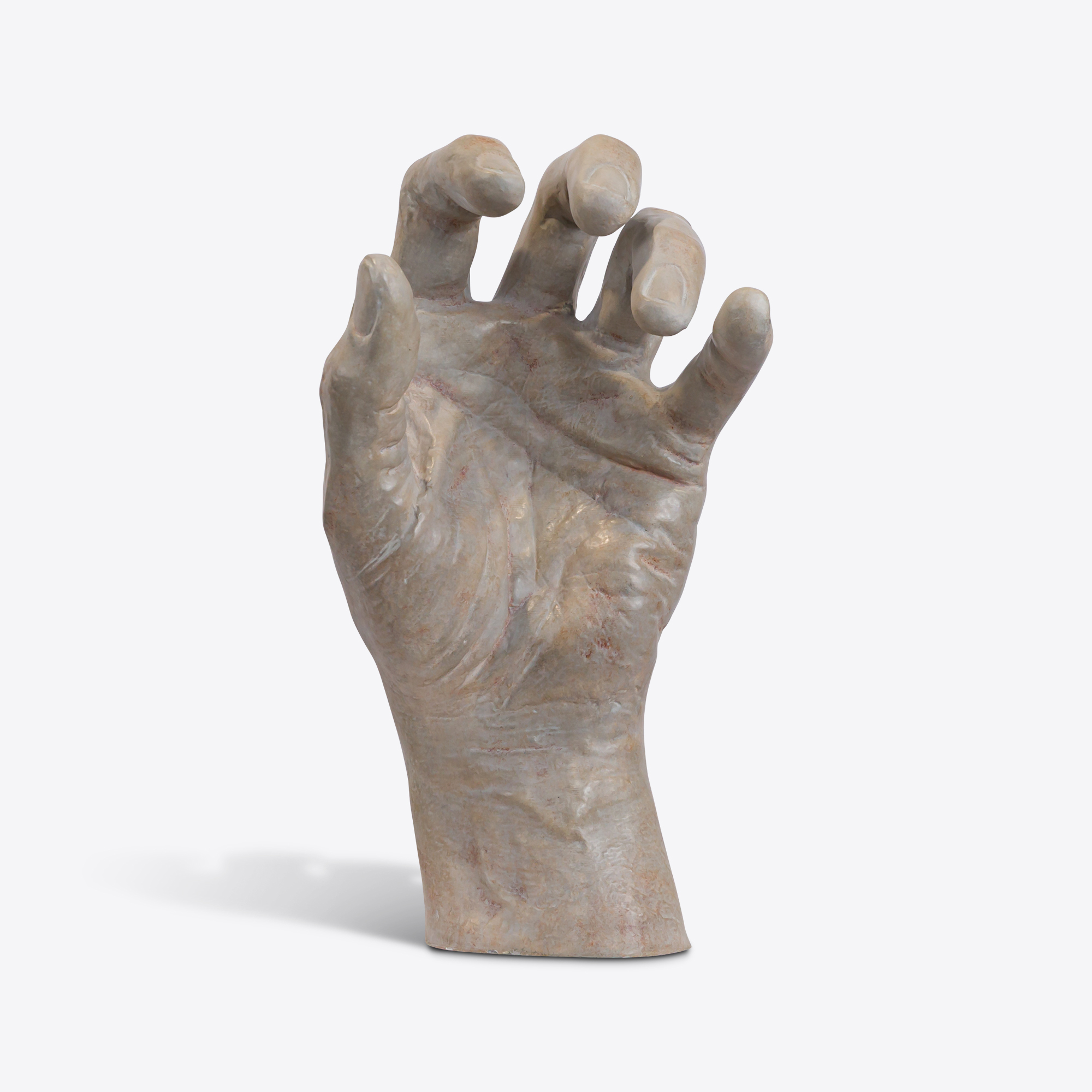 Goliath's Hand Study