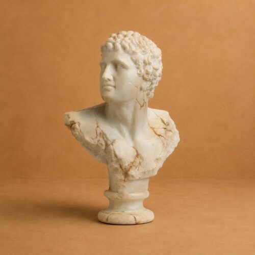PWL42165 – Bust of Young Apollo